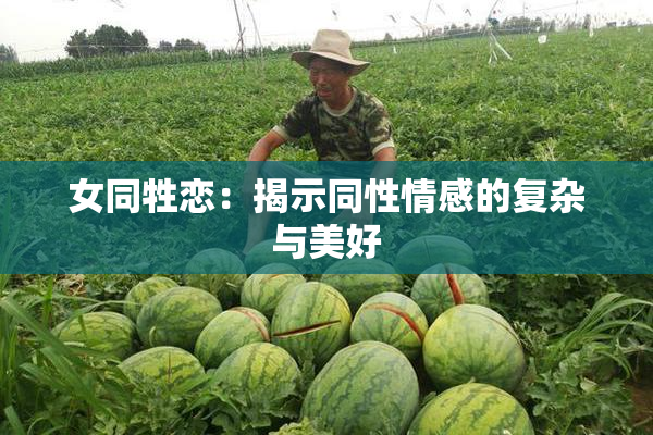 女同牲恋：揭示同性情感的复杂与美好