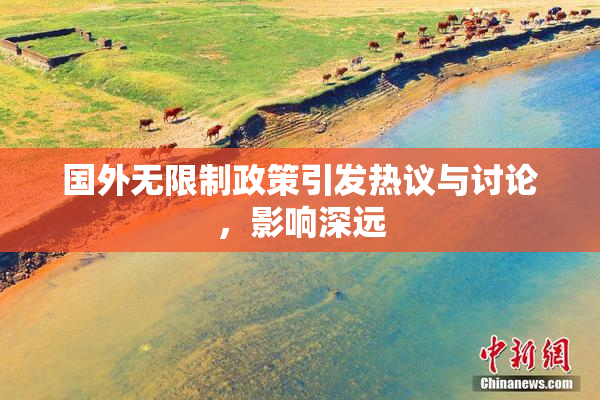 国外无限制政策引发热议与讨论，影响深远