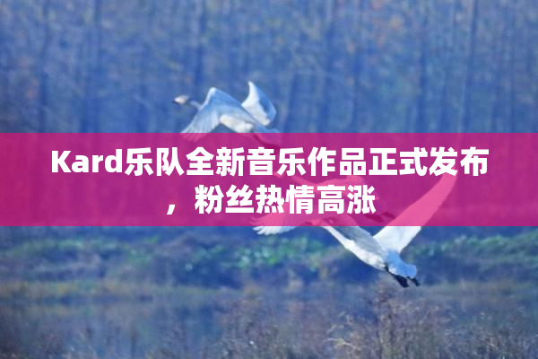 Kard乐队全新音乐作品正式发布，粉丝热情高涨