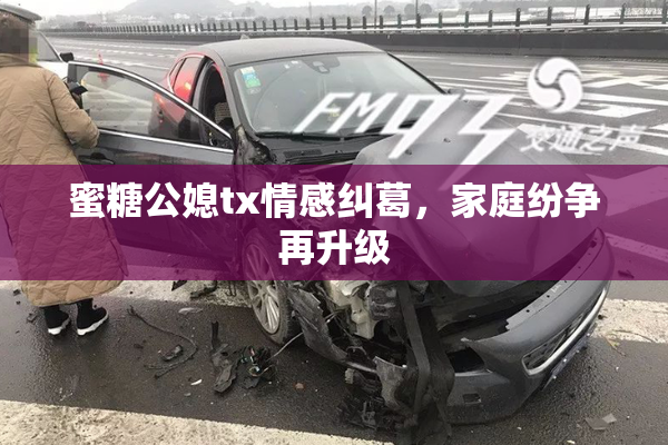 蜜糖公媳tx情感纠葛，家庭纷争再升级