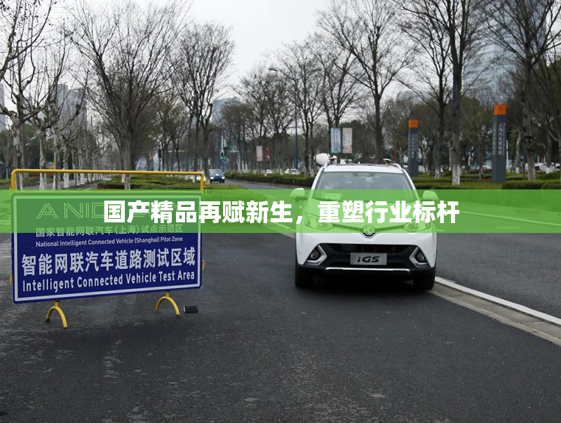 国产精品再赋新生，重塑行业标杆