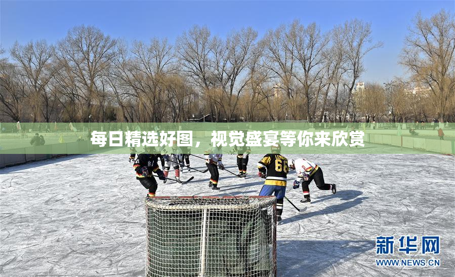 每日精选好图，视觉盛宴等你来欣赏