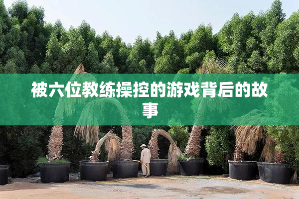 被六位教练操控的游戏背后的故事