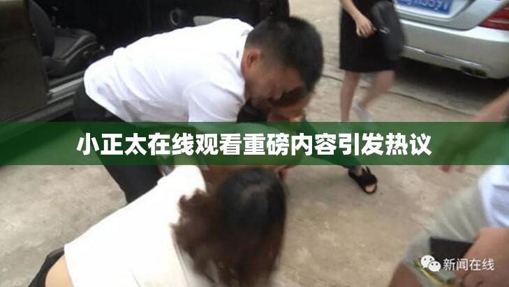 小正太在线观看重磅内容引发热议