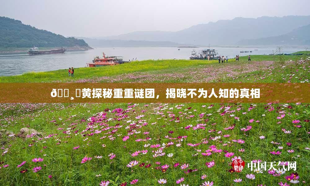 🌸‌黄探秘重重谜团，揭晓不为人知的真相