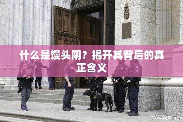 什么是馒头阴？揭开其背后的真正含义