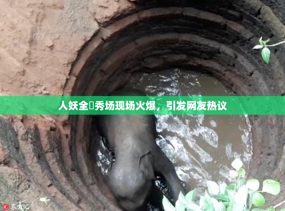 人妖全祼秀场现场火爆，引发网友热议