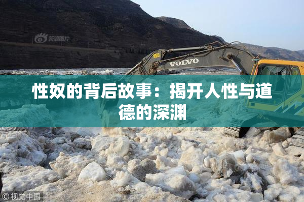性奴的背后故事：揭开人性与道德的深渊
