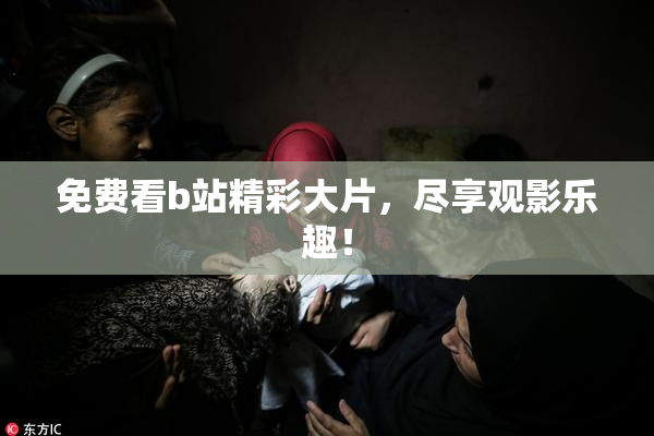 免费看b站精彩大片，尽享观影乐趣！