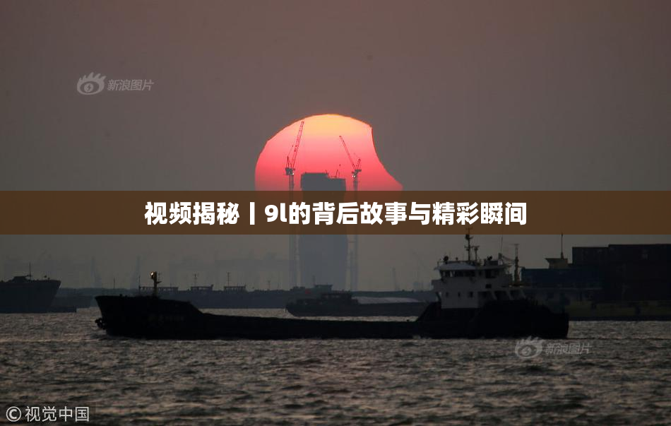 视频揭秘丨9l的背后故事与精彩瞬间