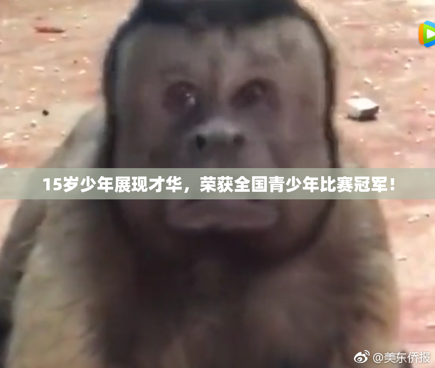 15岁少年展现才华，荣获全国青少年比赛冠军！