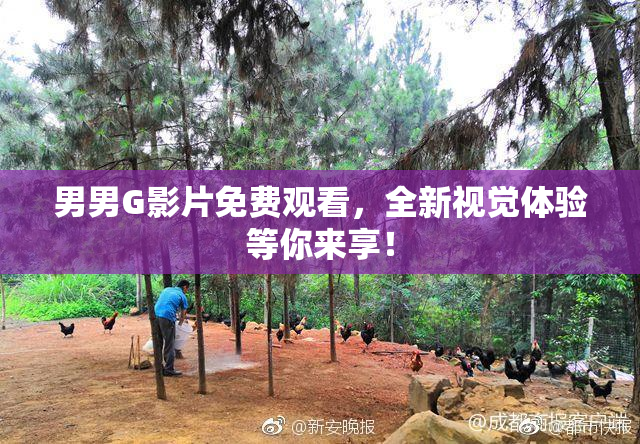 男男G影片免费观看，全新视觉体验等你来享！