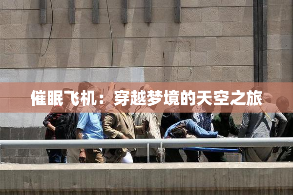 催眠飞机：穿越梦境的天空之旅