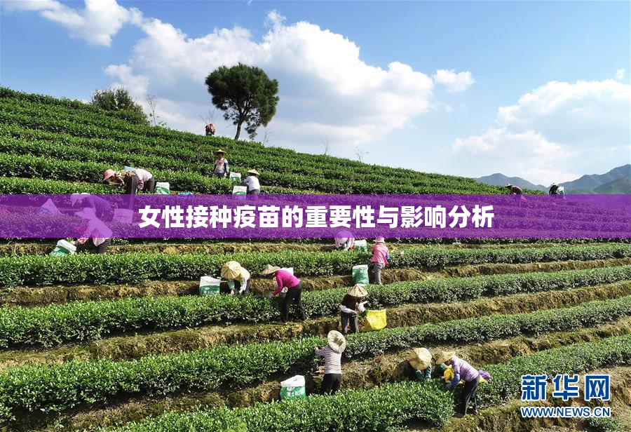 女性接种疫苗的重要性与影响分析