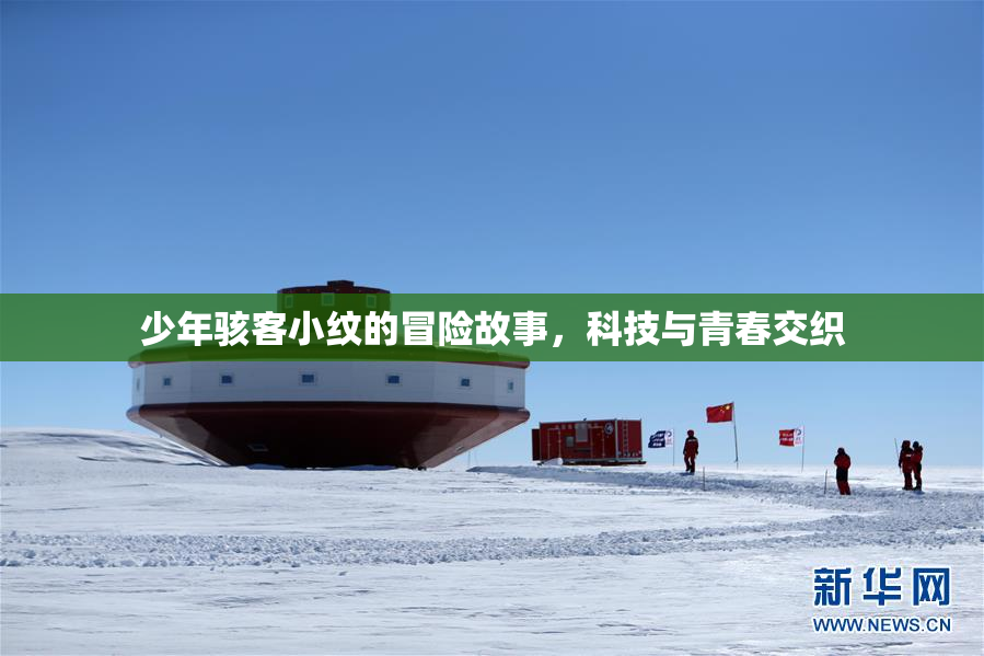 少年骇客小纹的冒险故事，科技与青春交织