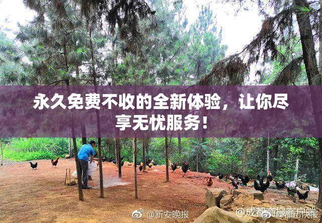 永久免费不收的全新体验，让你尽享无忧服务！