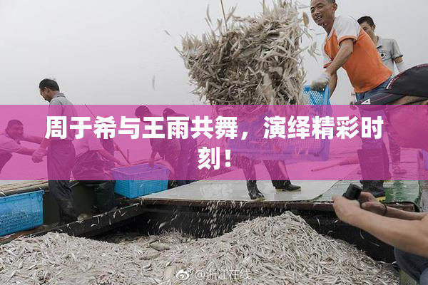 周于希与王雨共舞，演绎精彩时刻！