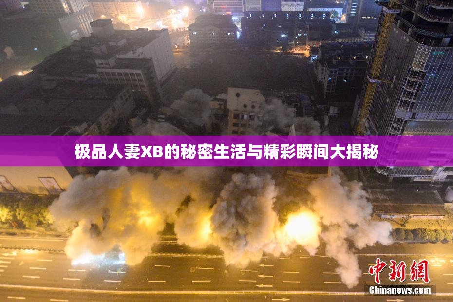 极品人妻XB的秘密生活与精彩瞬间大揭秘