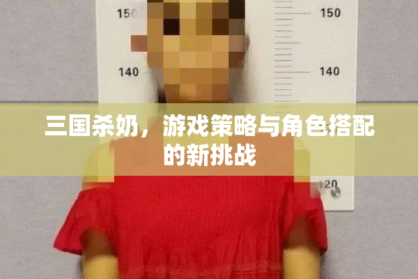 三国杀奶，游戏策略与角色搭配的新挑战