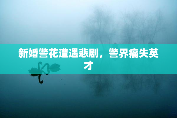 新婚警花遭遇悲剧，警界痛失英才