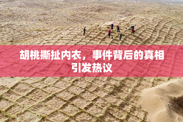 胡桃撕扯内衣，事件背后的真相引发热议