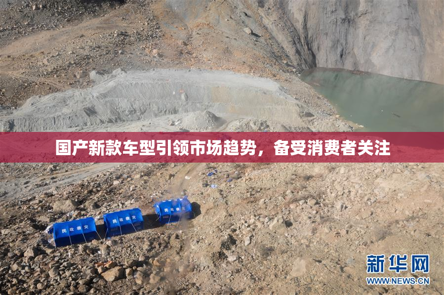 国产新款车型引领市场趋势，备受消费者关注