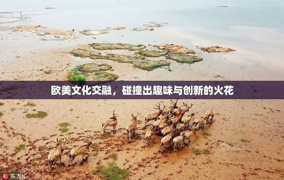 欧美文化交融，碰撞出趣味与创新的火花