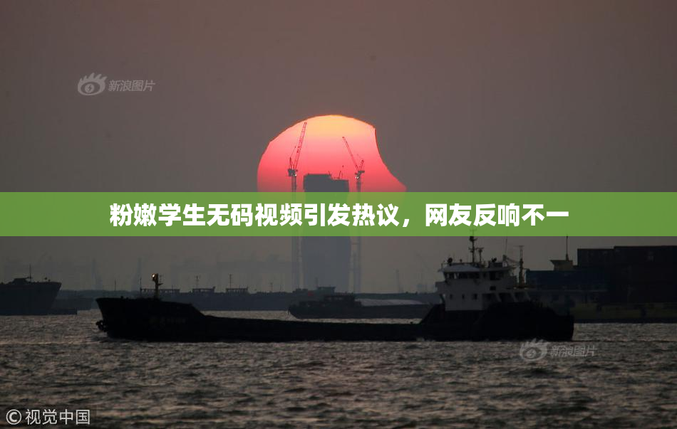 粉嫩学生无码视频引发热议，网友反响不一