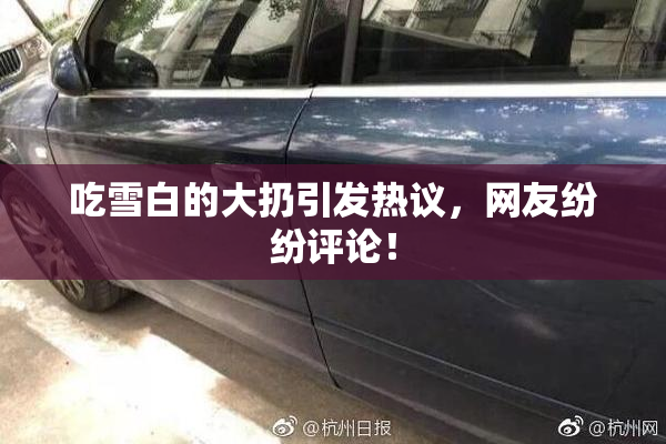 吃雪白的大扔引发热议，网友纷纷评论！