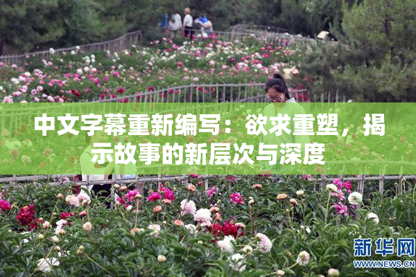 中文字幕重新编写：欲求重塑，揭示故事的新层次与深度