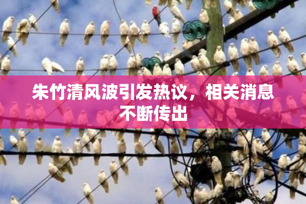 朱竹清风波引发热议，相关消息不断传出