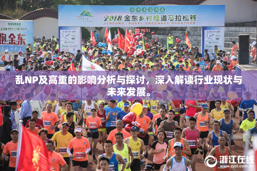 乱NP及高重的影响分析与探讨，深入解读行业现状与未来发展。