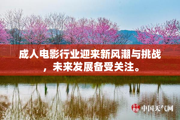 成人电影行业迎来新风潮与挑战，未来发展备受关注。