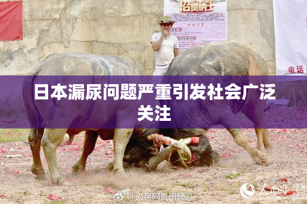 日本漏尿问题严重引发社会广泛关注