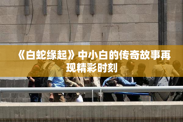 《白蛇缘起》中小白的传奇故事再现精彩时刻