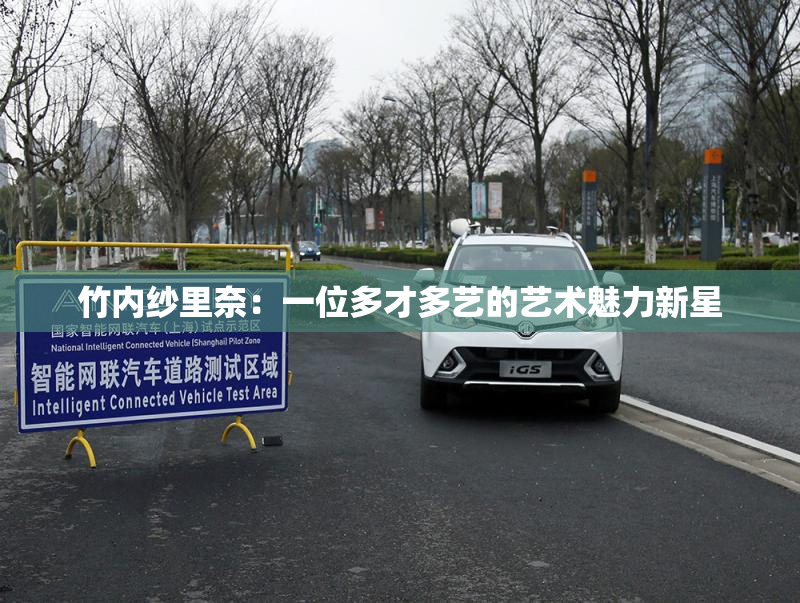 竹内纱里奈：一位多才多艺的艺术魅力新星