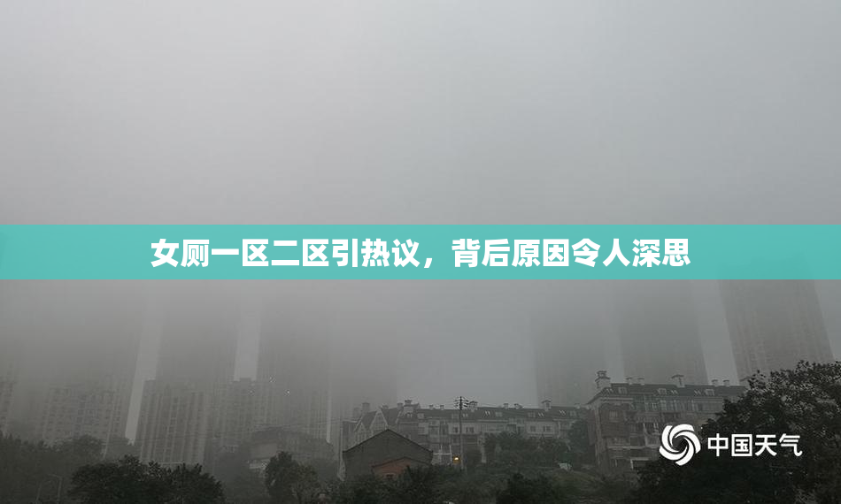 女厕一区二区引热议，背后原因令人深思