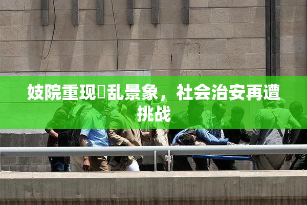 妓院重现婬乱景象，社会治安再遭挑战