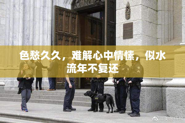 色愁久久，难解心中情愫，似水流年不复还