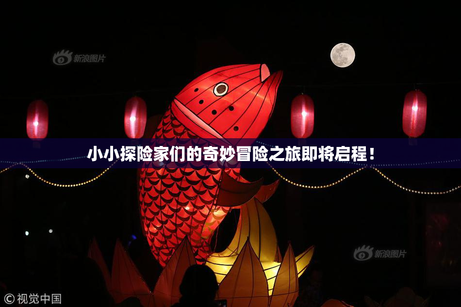 小小探险家们的奇妙冒险之旅即将启程！