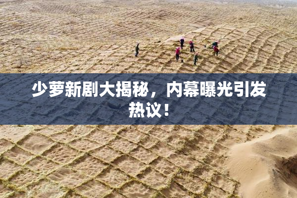 少萝新剧大揭秘，内幕曝光引发热议！