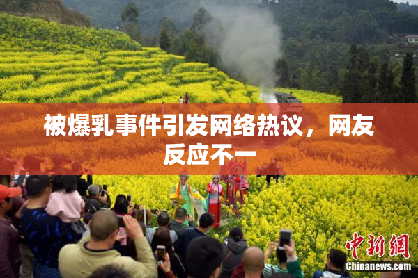 被爆乳事件引发网络热议，网友反应不一