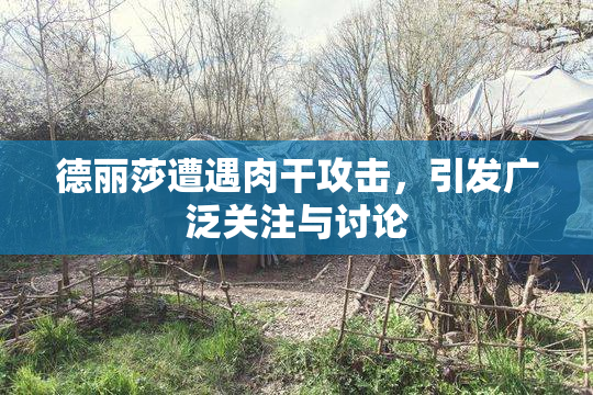 德丽莎遭遇肉干攻击，引发广泛关注与讨论