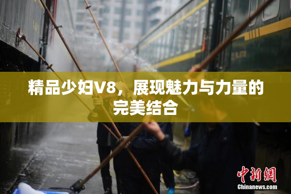 精品少妇V8，展现魅力与力量的完美结合