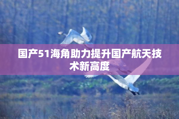 国产51海角助力提升国产航天技术新高度