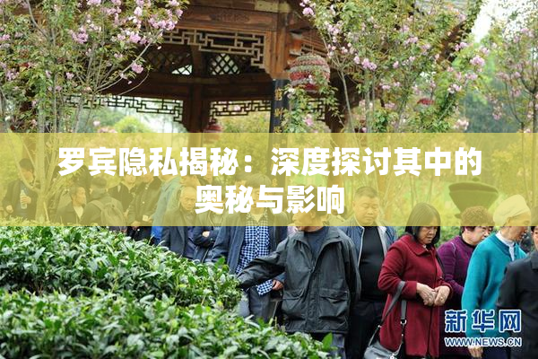 罗宾隐私揭秘：深度探讨其中的奥秘与影响