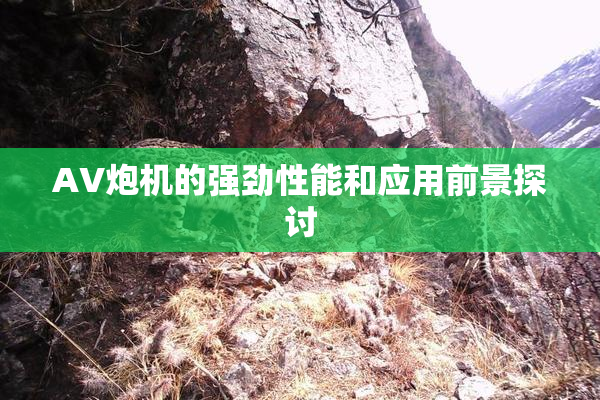 AV炮机的强劲性能和应用前景探讨
