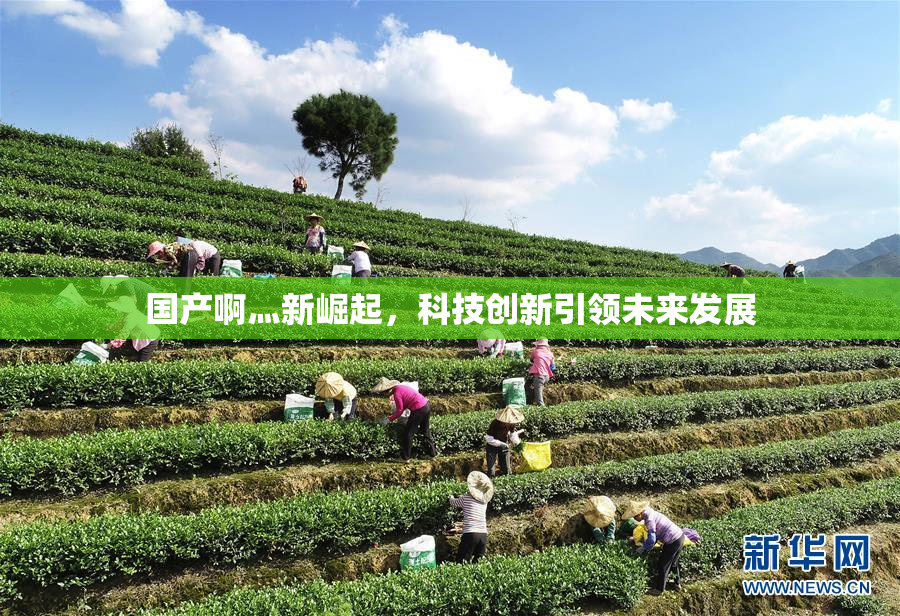国产啊灬新崛起，科技创新引领未来发展