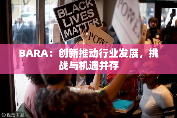 BARA：创新推动行业发展，挑战与机遇并存