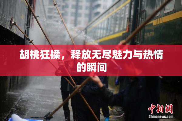 胡桃狂揉，释放无尽魅力与热情的瞬间